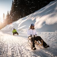 rosskopf-winter-rodeln-p.schwienbacher-21